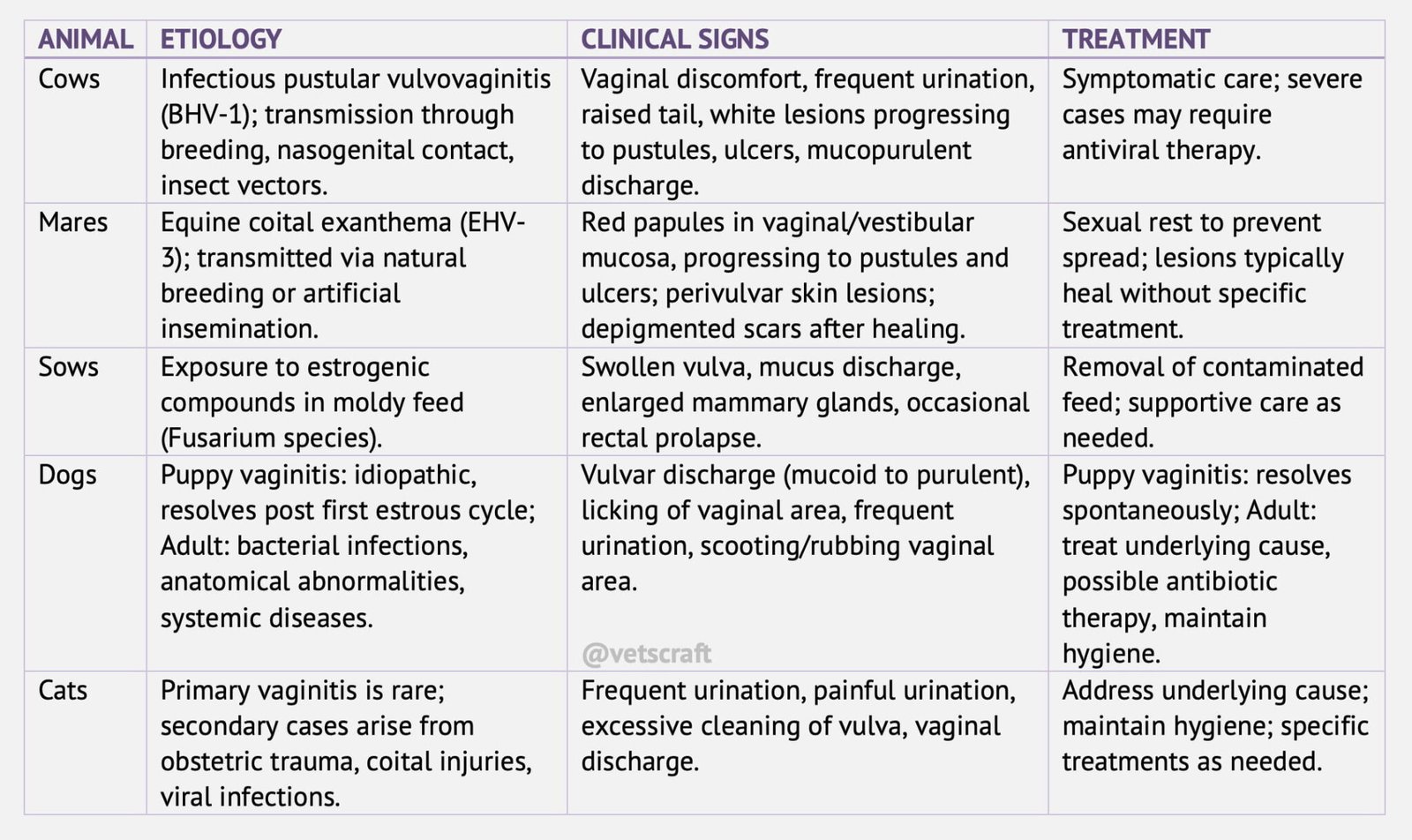 Vaginitis in Animals | Contagious Vesicular Vaginitis or Exanthema