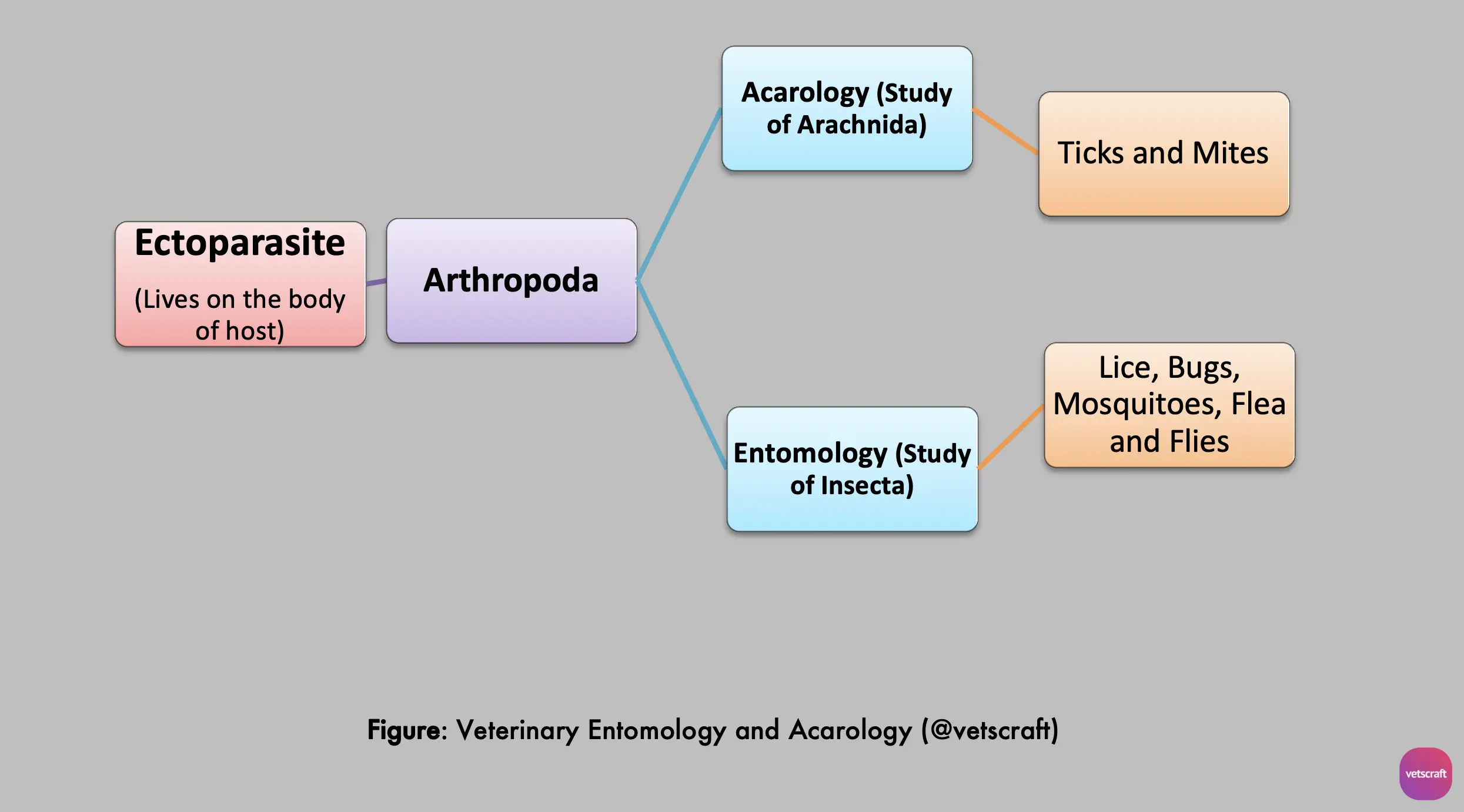 Veterinary Entomology and Acarology