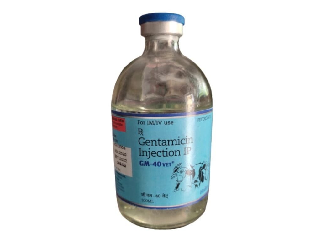 Gentamicin for Animals - Dog, Cat, Cattle, Horse, Pig, Sheep, Goat